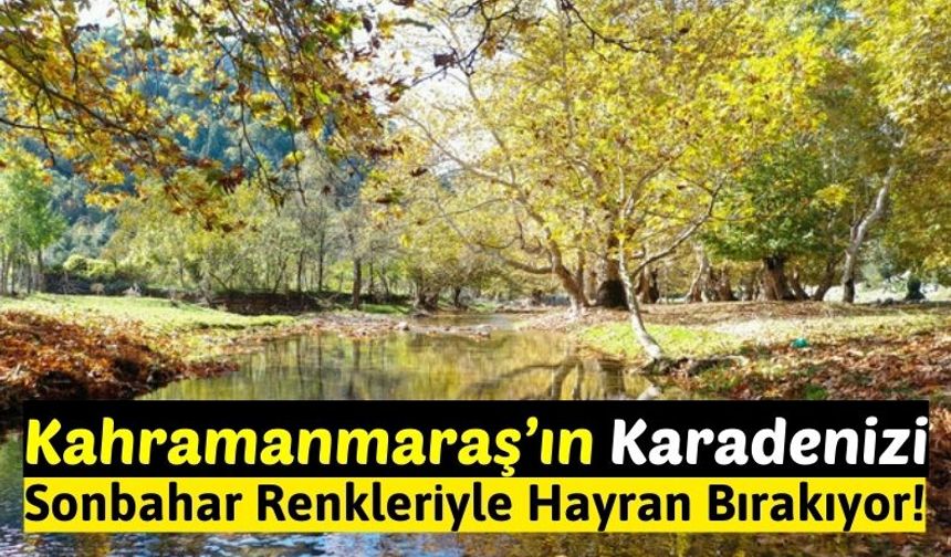 Kahramanmaraş'ın Yaylaları Hazan Renkleri İle Büyülüyor!