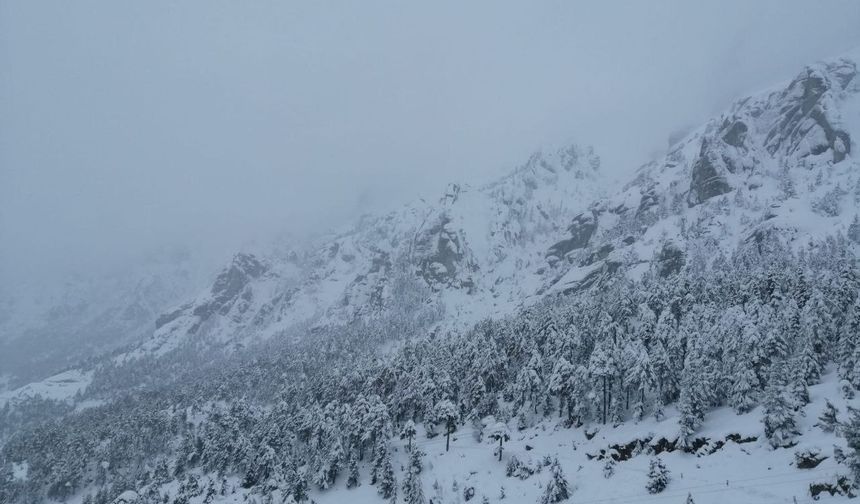 Kahramanmaraş'ta Kar Yağışı: 3 İlçe Beyaza Büründü!
