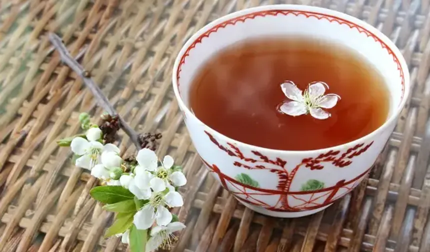 Sakın Çöpe Atmayın! Kiraz Sapı Çayının Sağlığa Faydaları