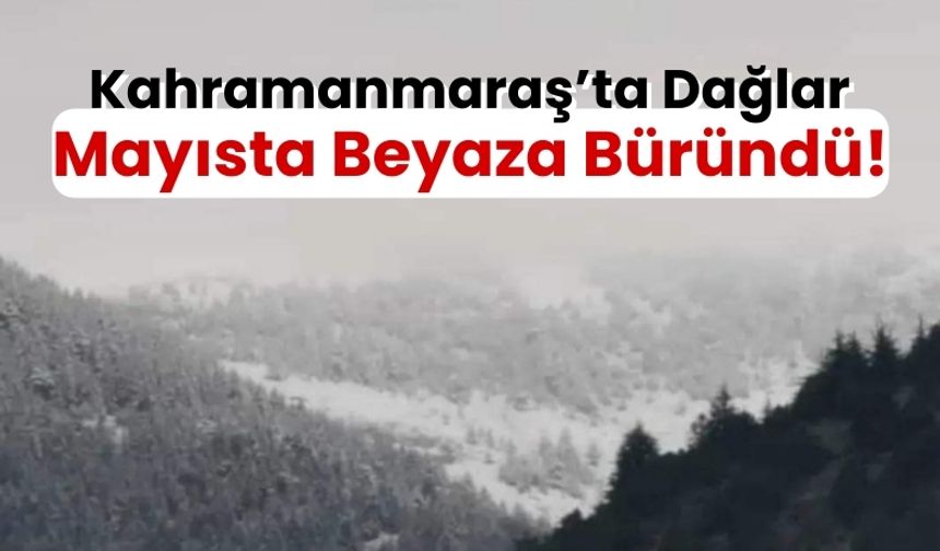 Kahramanmaraş'ta İlkbaharda Kar Yağışı Tarımı Olumsuz Etkiledi!