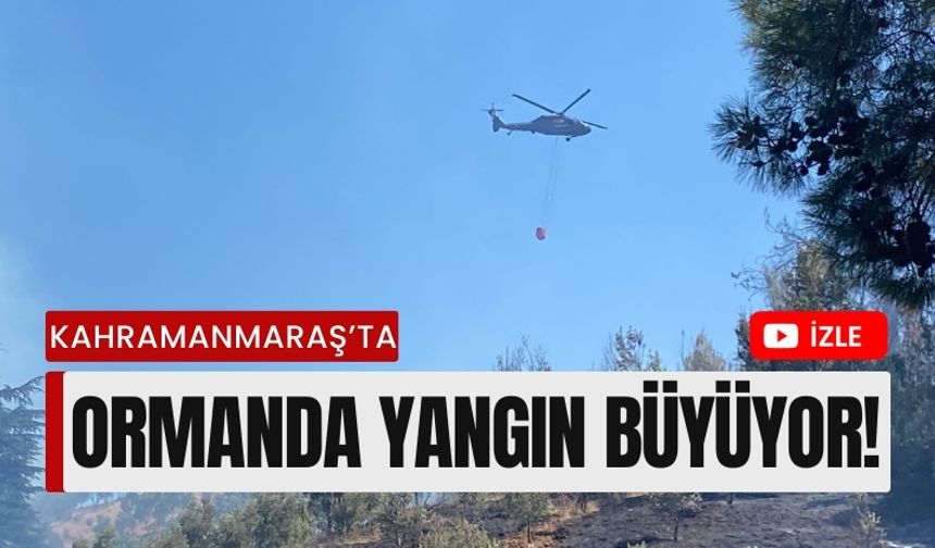 Kahramanmaraş'ta Orman Yangını: Ekipler Havadan ve Karadan Müdahale Ediyor!