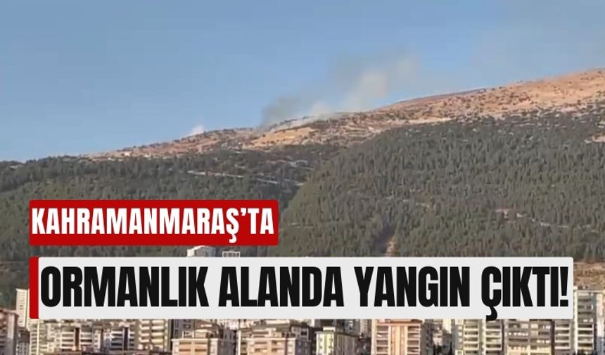 Kahramanmaraş Adliyesi Arkasında Alevler Yükseldi!