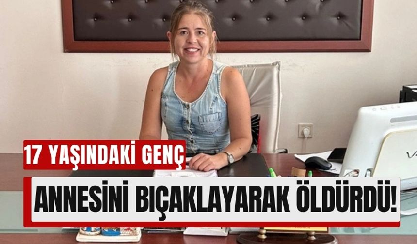 17 Yaşındaki Genç Dehşet Saçtı: Annesini Öldürdü, 4 Kişiyi Yaraladı!