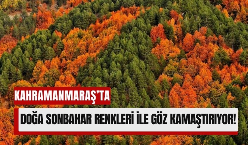 Kahramanmaraş'ın Saklı Cenneti Düldül Dağı, Sonbaharda Renk Cümbüşüne Büründü