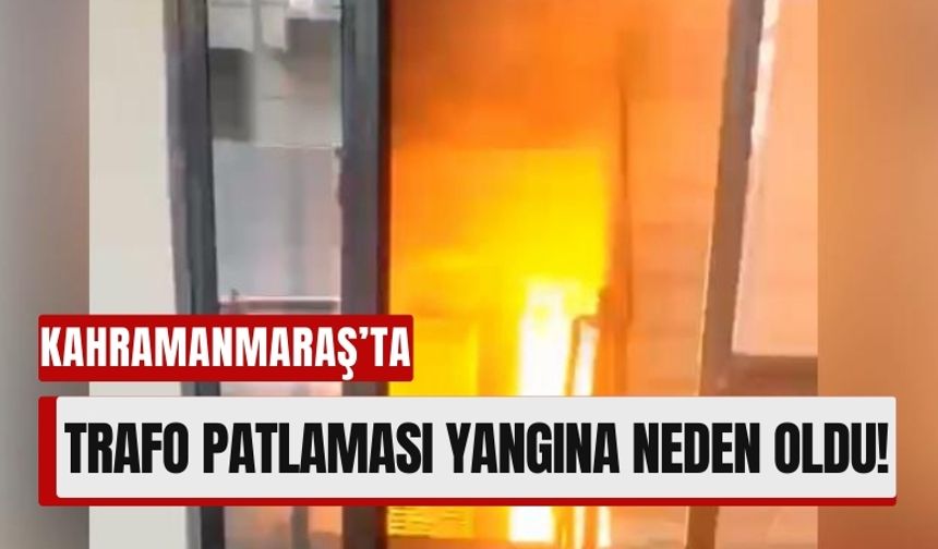 Kahramanmaraş'ta Trafo Yangını: Evcil Hayvan Kurtarıldı!