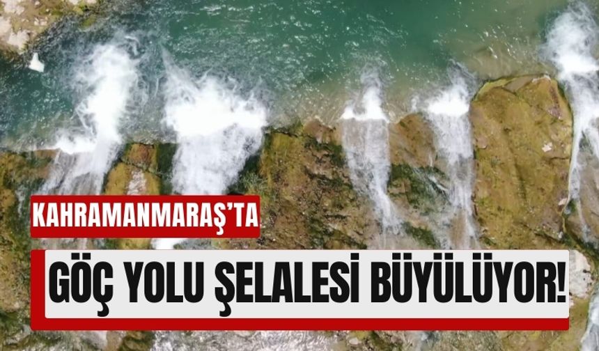 Göç Yolu Şelalesi: Kahramanmaraş’ın Saklı Doğa Cenneti