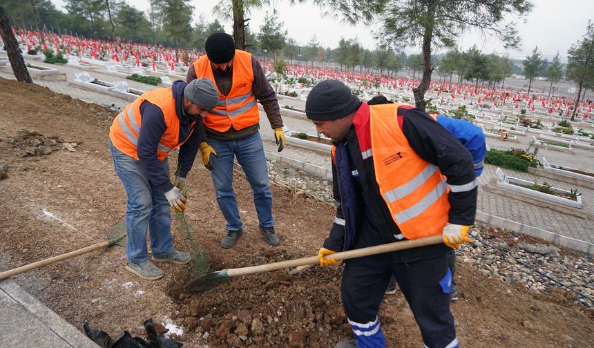 Kahramanmaraş Kapıçam Mezarlığında Çevre Düzenleme Çalışmaları