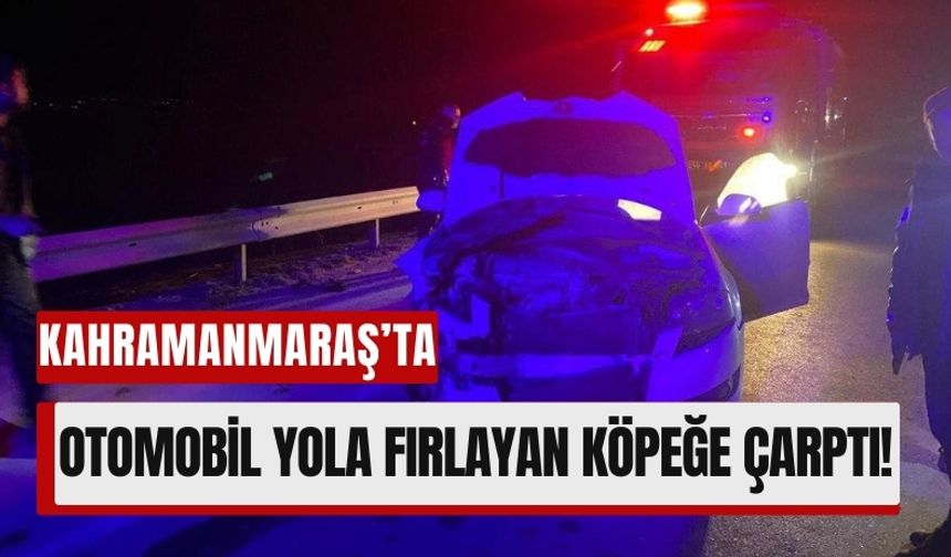 Kahramanmaraş'ta Trafik Kazasında Köpek Telef Oldu, Otomobil Hasar Gördü!