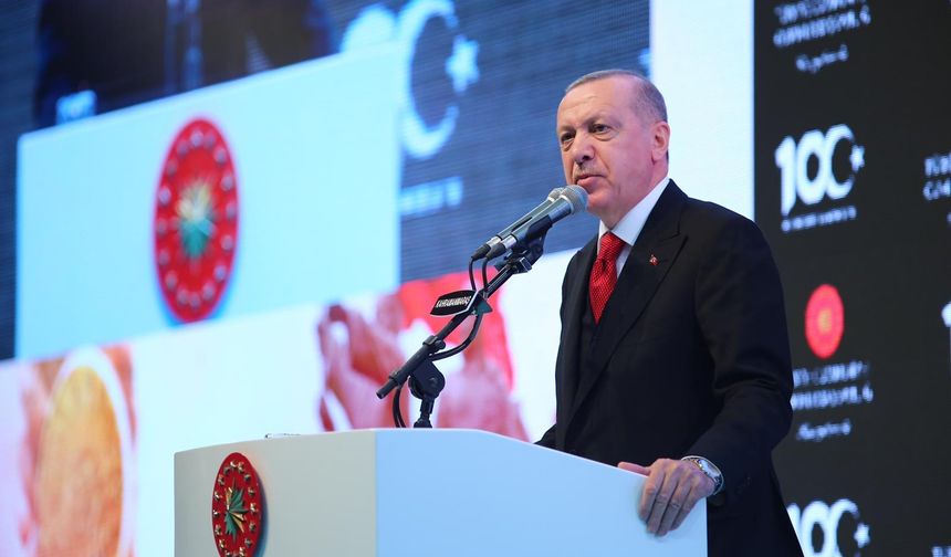 Kahramanmaraş Depremlerinin 2. Yılı: Cumhurbaşkanı Erdoğan'dan Dayanışma Mesajı