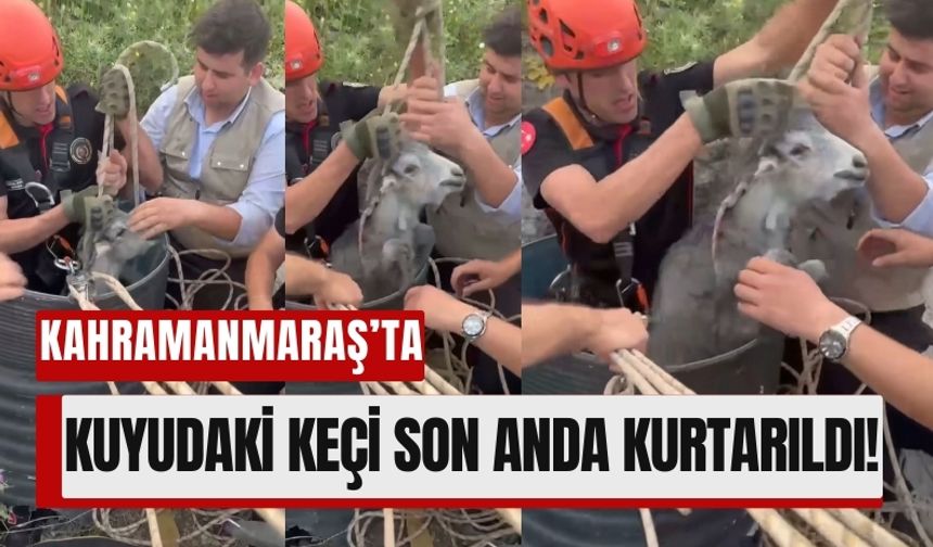 Kahramanmaraş'ta Açık Kuyuda Mahsur Kalan Keçi Kurtarıldı!
