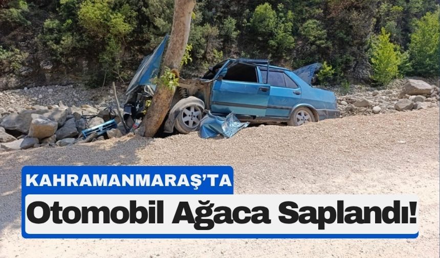 Kahramanmaraş’ta Feci Kaza: Yol Kenarındaki Ağaca Saplandı!