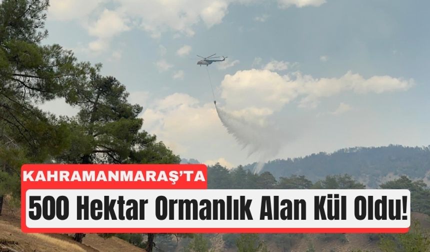 Kahramanmaraş'ta Orman Yangını 3. Günüde!
