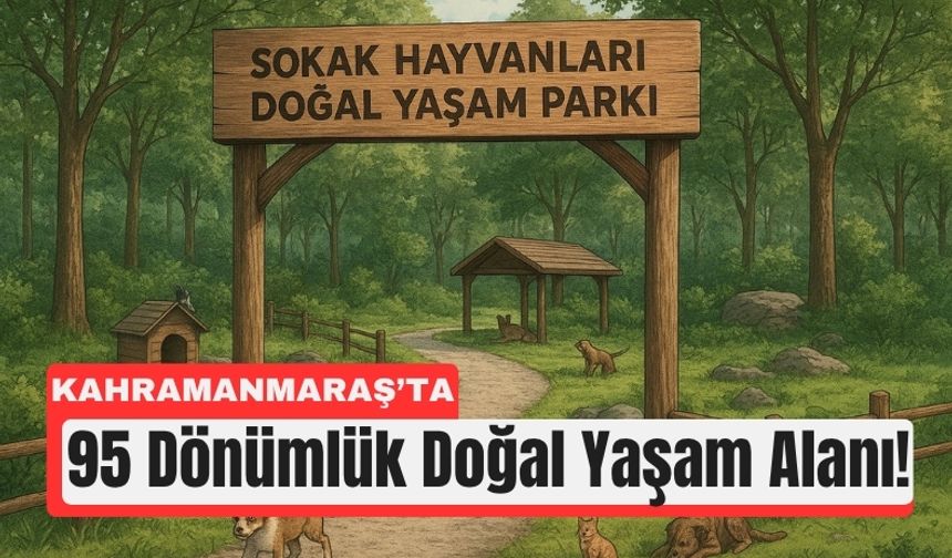 Kahramanmaraş, Sahipsiz Hayvanlar İçin Türkiye’ye Örnek Olacak