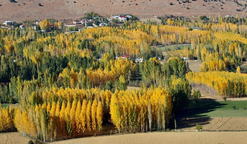 Sonbaharın En Güzel Hali Kahramanmaraş’ta