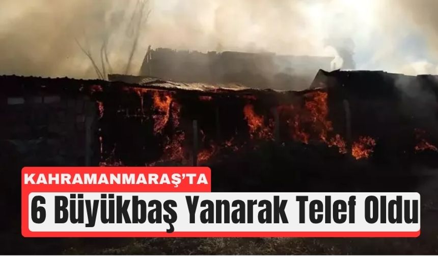 Kahramanmaraş'ta Alevler Ahırı Sardı: 6 Hayvan Yandı
