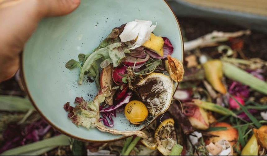 BM Raporu Açıkladı: Dünyada Kişi Başına Yıllık Gıda İsrafı Kaç Kilo?