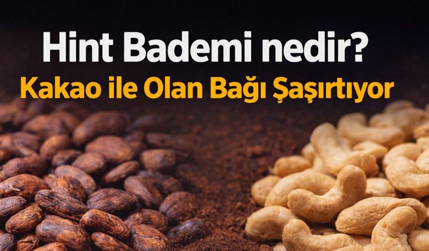 Hint Bademinin Nedir? Kakao ile Olan Bağı Şaşırtıyor