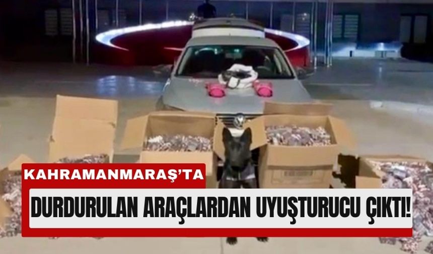 Kahramanmaraş'ta Milyonluk Zehir Ticareti Operasyonu
