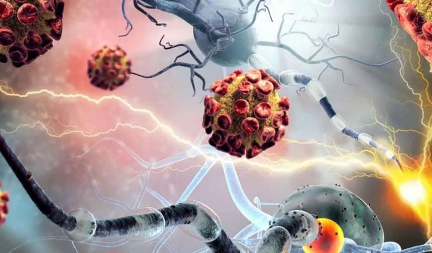 Vücudun bağışıklık sisteminin vücudun kendi hücrelerine saldırması durumunu ifade eden kelime nedir?