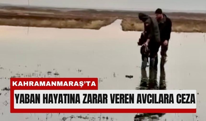 Kahramanmaraş’ta Yasa Dışı Avlanan 5 Kişiye İşlem!