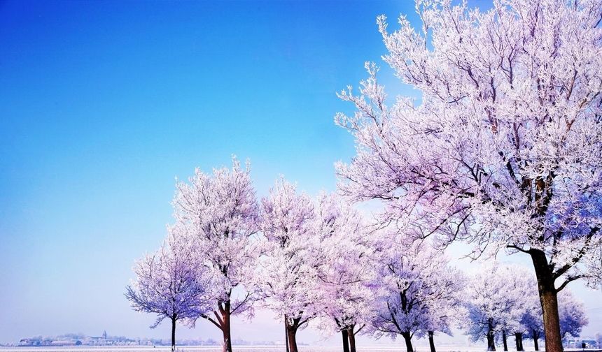 Şubat Ayı En Son Ne Zaman 29 Gün Çekti?