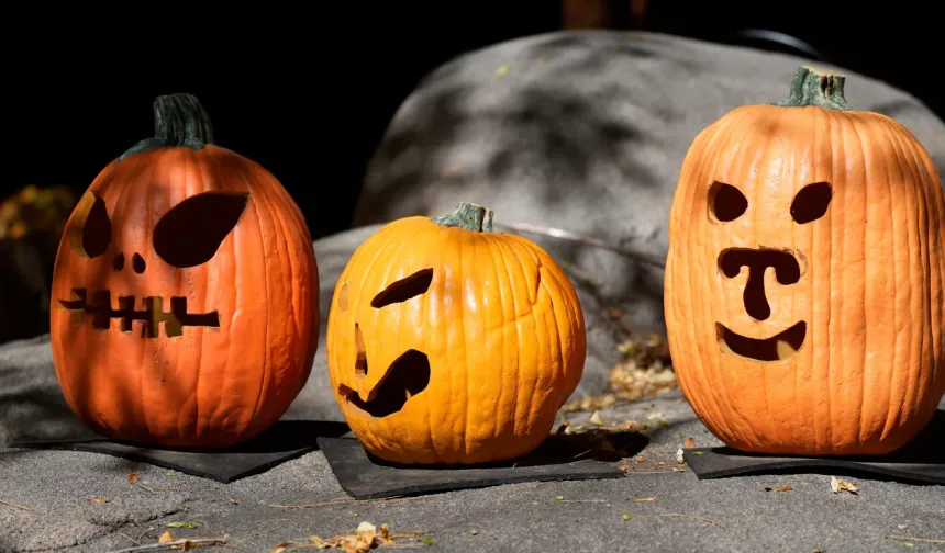 Mevsimlerin Ritmi ve Özel Günler: Hangisi Sonbahar Dönemine Ait Değildir?