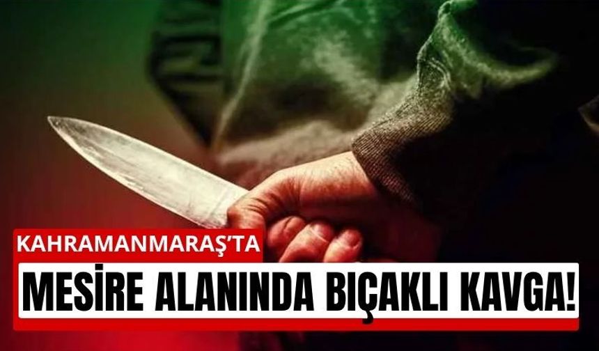 Kahramanmaraş’ta Mesire Alanında Dehşet! Bıçaklar Çekildi