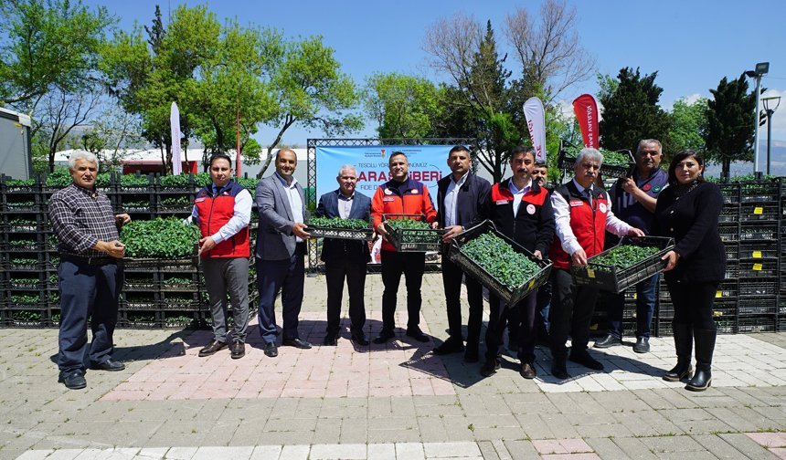 Kahramanmaraş’ta Üreticiye Tam Destek: 500 Çiftçiye 650 Bin Biber Fidesi