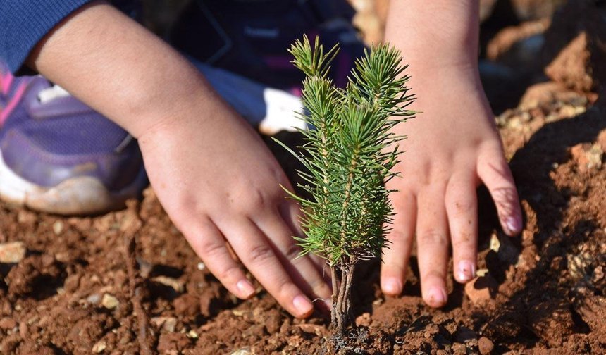 Kahramanmaraş Şehitleri İçin İstanbul’da 1000 Fidan Toprakla Buluştu