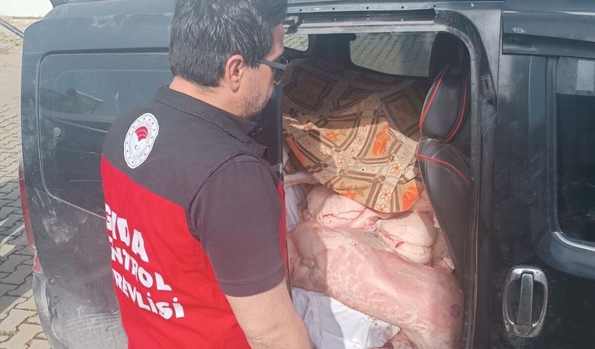 Kahramanmaraş’ta Denetimde Şok! Sağlıksız Etlere El Konuldu