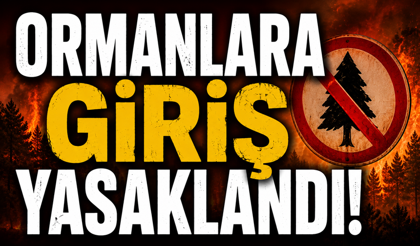 Kahramanmaraş'ta 8 Haziran’dan Sonra Ormana Girmek Yasak