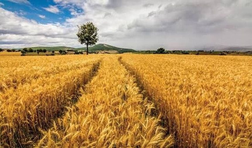 Kahramanmaraş’a Tarihi Destek: 216 Milyon TL’lik Hibe Onayı
