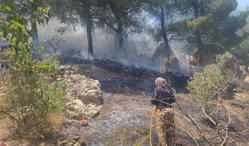 Kahramanmaraş’ta Ormanda Yangın Paniği! Alevler Kontrol Altında