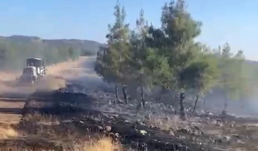 Nurdağı’nda Orman Yangını! Ekipler Zamana Karşı Yarıştı