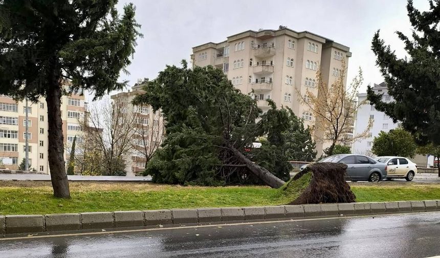Çatı Uçması ve Ağaç Devrilmesi Riski! Kahramanmaraş İçin Uyarı