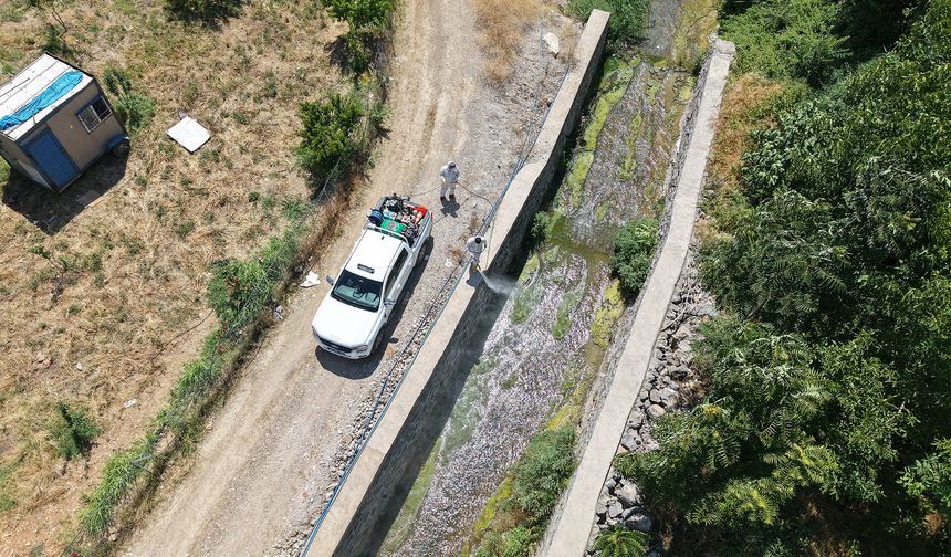 Kahramanmaraş’ta Yaz Mesaisi: 60 Araçla Sivrisinek Mücadelesi