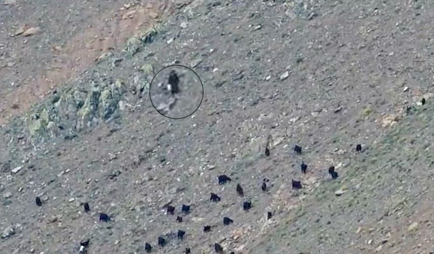 Kahramanmaraş’ta Hayvanlarını Aramak İçin Dağa Çıktı, Kayboldu!