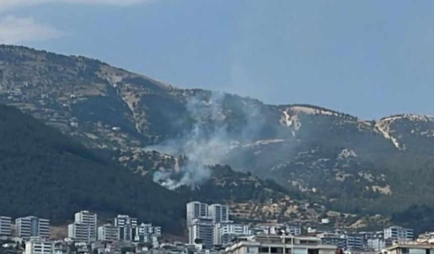 Kahramanmaraş’ta orman yangını kontrol altına alındı