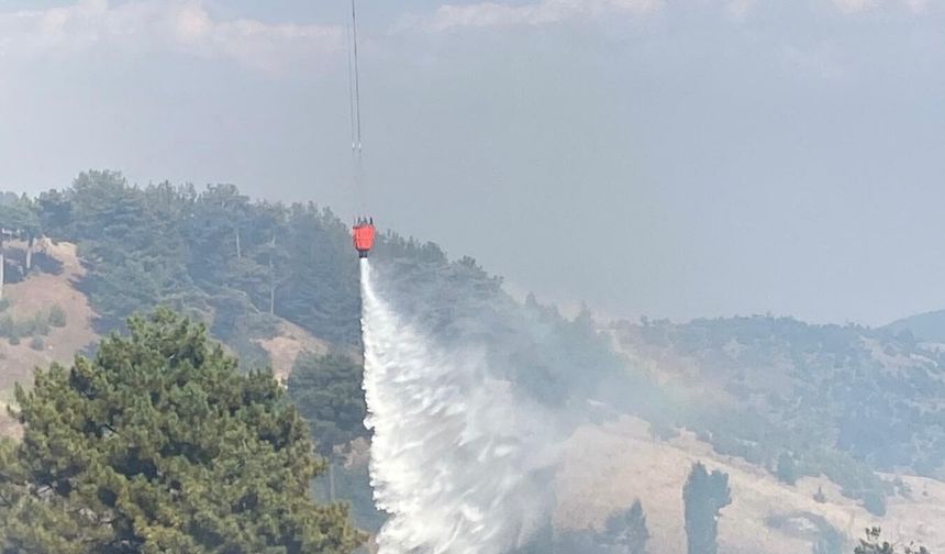Kahramanmaraş’ta orman yangını: Söndürme çalışmaları sürüyor