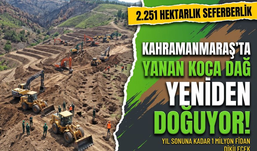 Kahramanmaraş'ta Küllerin Yerini 1 Milyon Yeni Fidan Alıyor!