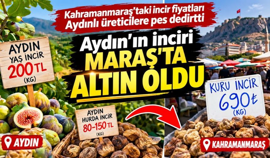 Kahramanmaraş'taki incir fiyatları Aydınlı üreticilere pes dedirtti! Aydın'ın inciri Maraş'ta altın oldu