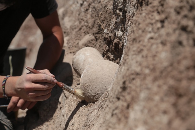 Domuztepe Höyüğü'nde okçuluğa dair bulgulara rastlandı