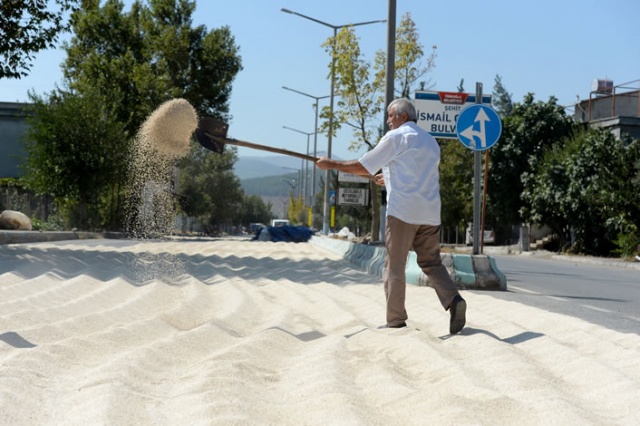 Kuş yemini korumak için torpil tabancası yaptılar