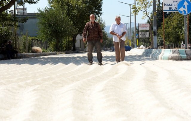 Kuş yemini korumak için torpil tabancası yaptılar