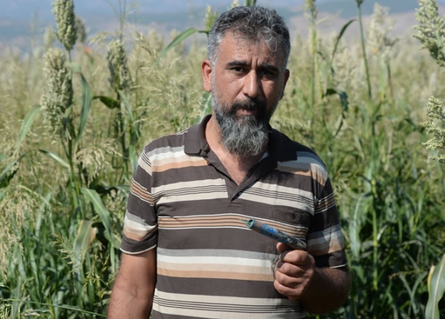 Kuş yemini korumak için torpil tabancası yaptılar