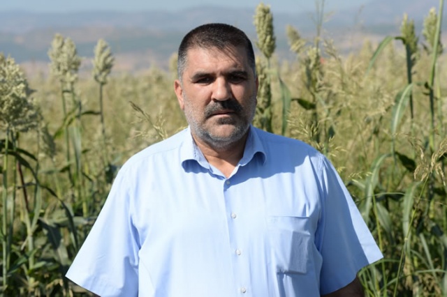 Kuş yemini korumak için torpil tabancası yaptılar