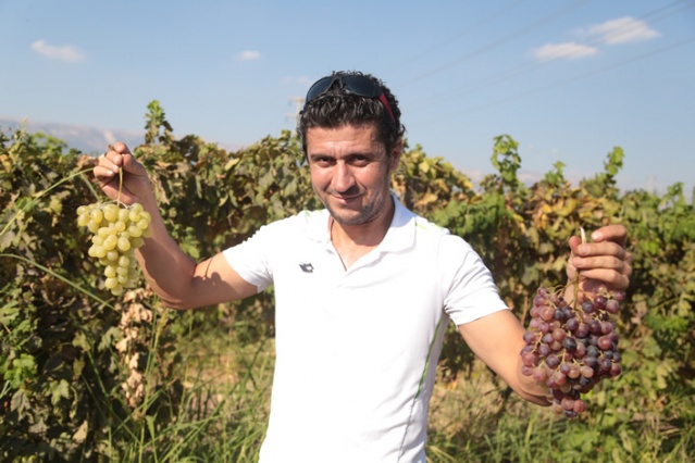 - Proje sorumlusu yüksek ziraat mühendisi Muhammet Ali Gündeşli:
- "Üzümlerimizin şıralık, şaraplık, sofralık ve kurutmalık özellikleri var. Eşsiz lezzetlere sahip. Bu gen kaynakları yok olmasın diye koruma altına aldık"