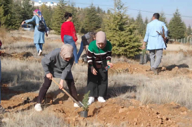 Afşin'de üniversite öğrencileri bin 500 fidan dikti