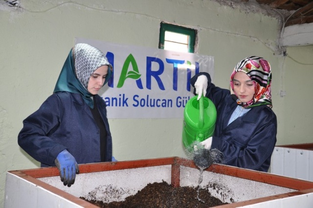 Bileziklerini satıp, organik solucan gübresi üretimine başladılar