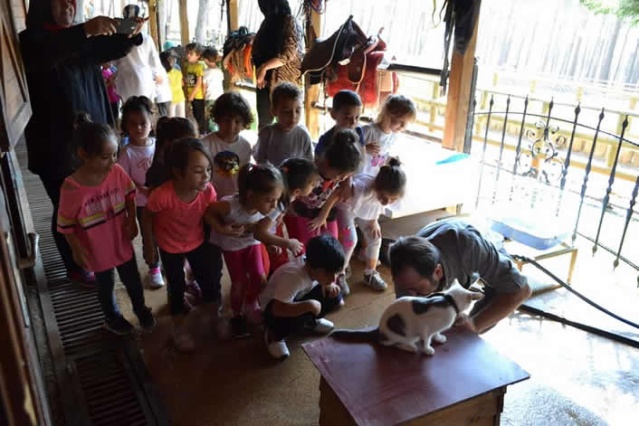 Büyükşehir Belediyesi tarafından Arslanbey Mesire Alanı içerisinde oluşturulan Doğal Yaşam Parkı,başta anaokulu öğrencileri olmak üzere vatandaşların ilgi odağı olurken, Down Sendromlu ve Otizmli çocuklara da ata binme terapisine ev sahipliği yapıyor.